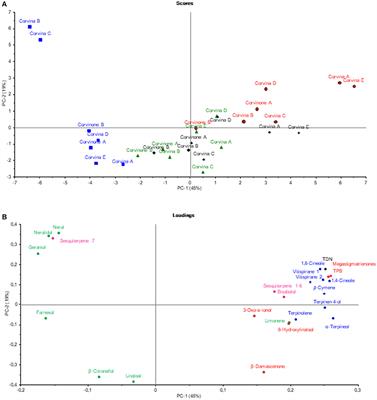 Norisoprenoids, Sesquiterpenes and Terpenoids Content of Valpolicella Wines During Aging: Investigating Aroma Potential in Relationship to Evolution of Tobacco and Balsamic Aroma in Aged Wine